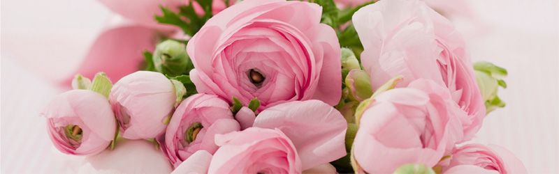 banner-shop-hoa-tuoi-nflower