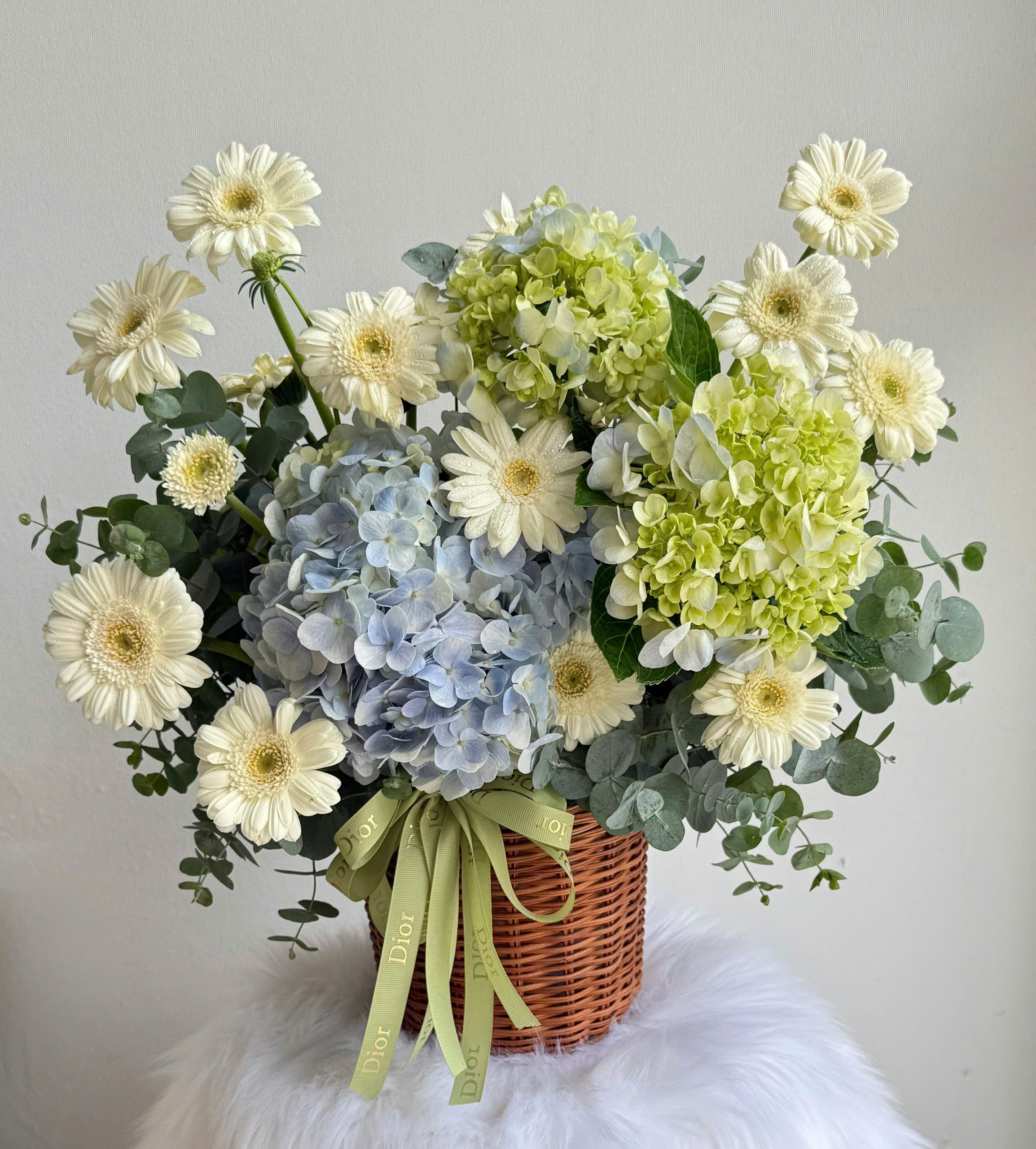 z7200513797774_ac40b278e9f13c8ffd675409f097c4e5