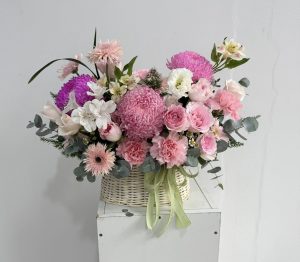 HG009 e1774695367241